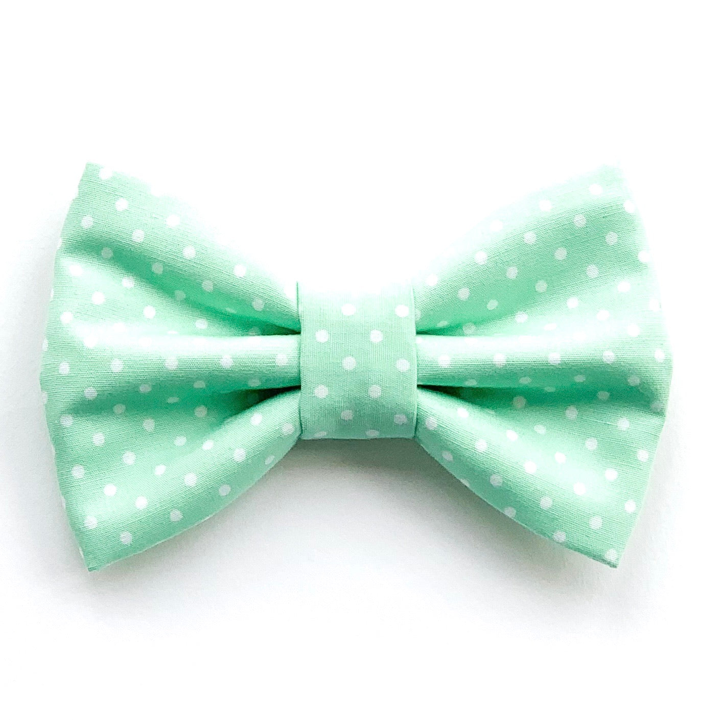 BASIL DOTS // bow