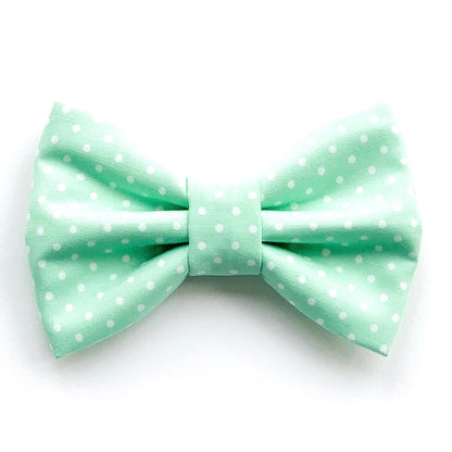 BASIL DOTS // bow