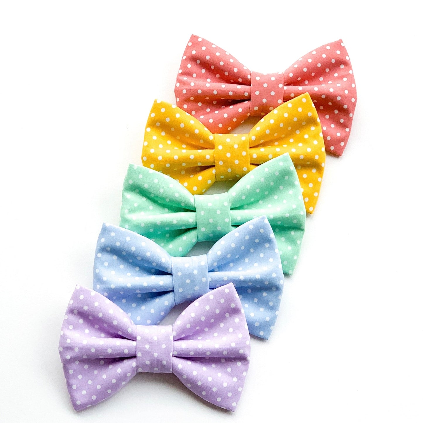 BASIL DOTS // bow