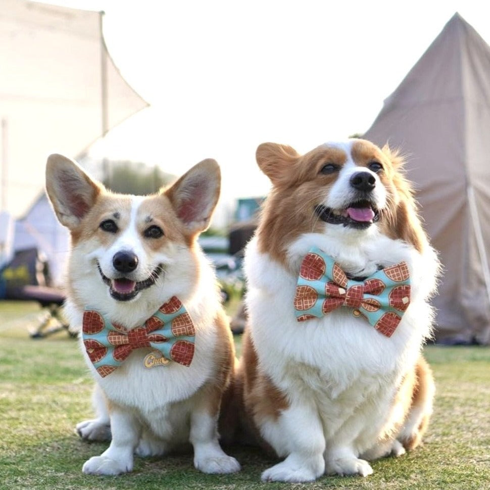 HONEY WAFFLE // bow