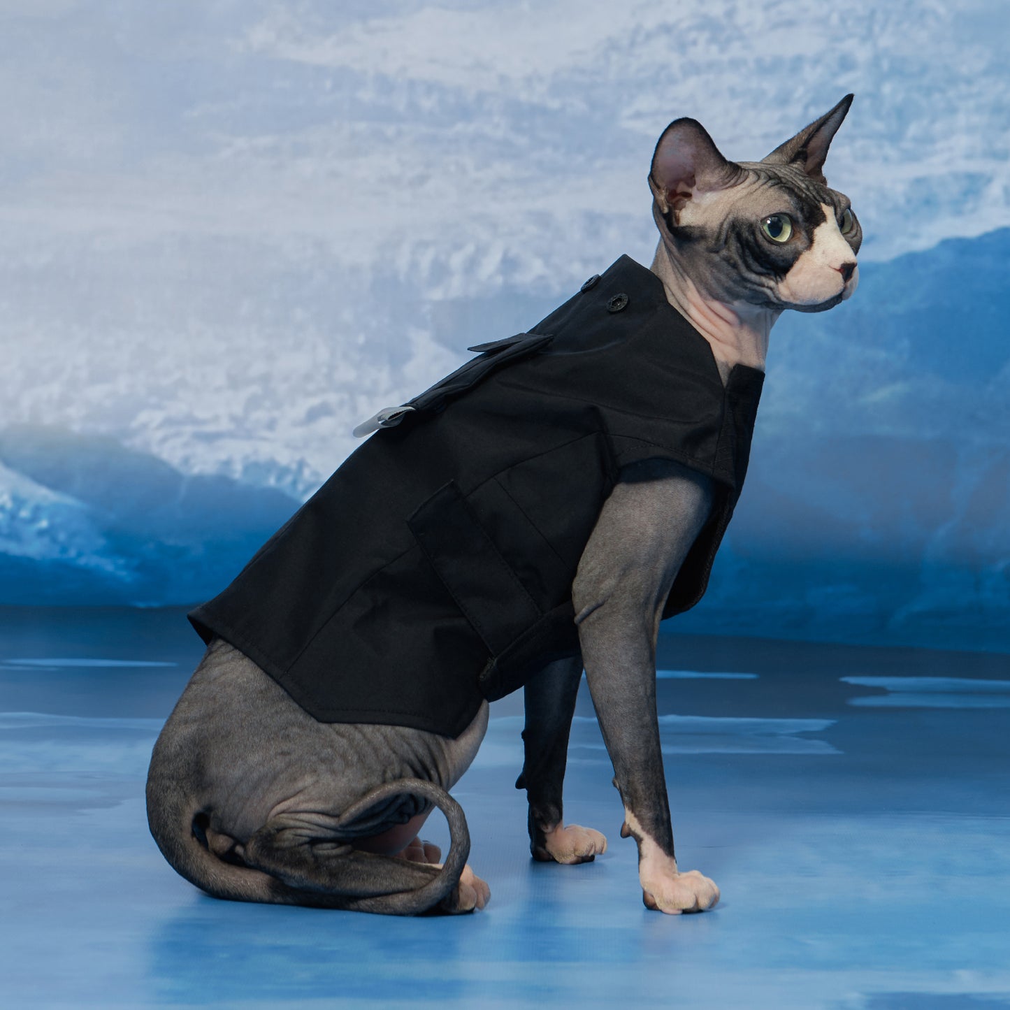 Yama Paws Sade Rain Parka