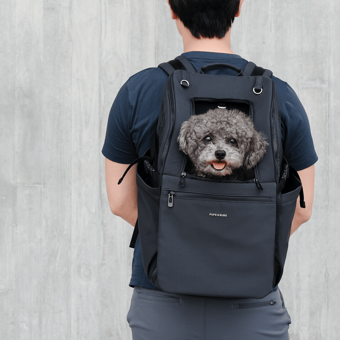TRAVELER // backpack carrier