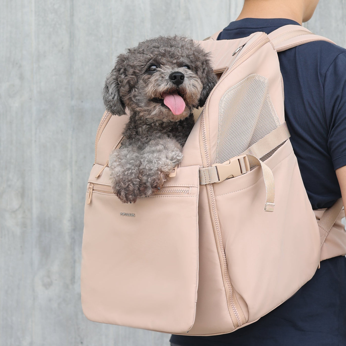 TRAVELER // backpack carrier