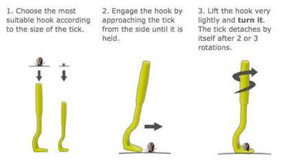 O’Tom Tick Twister