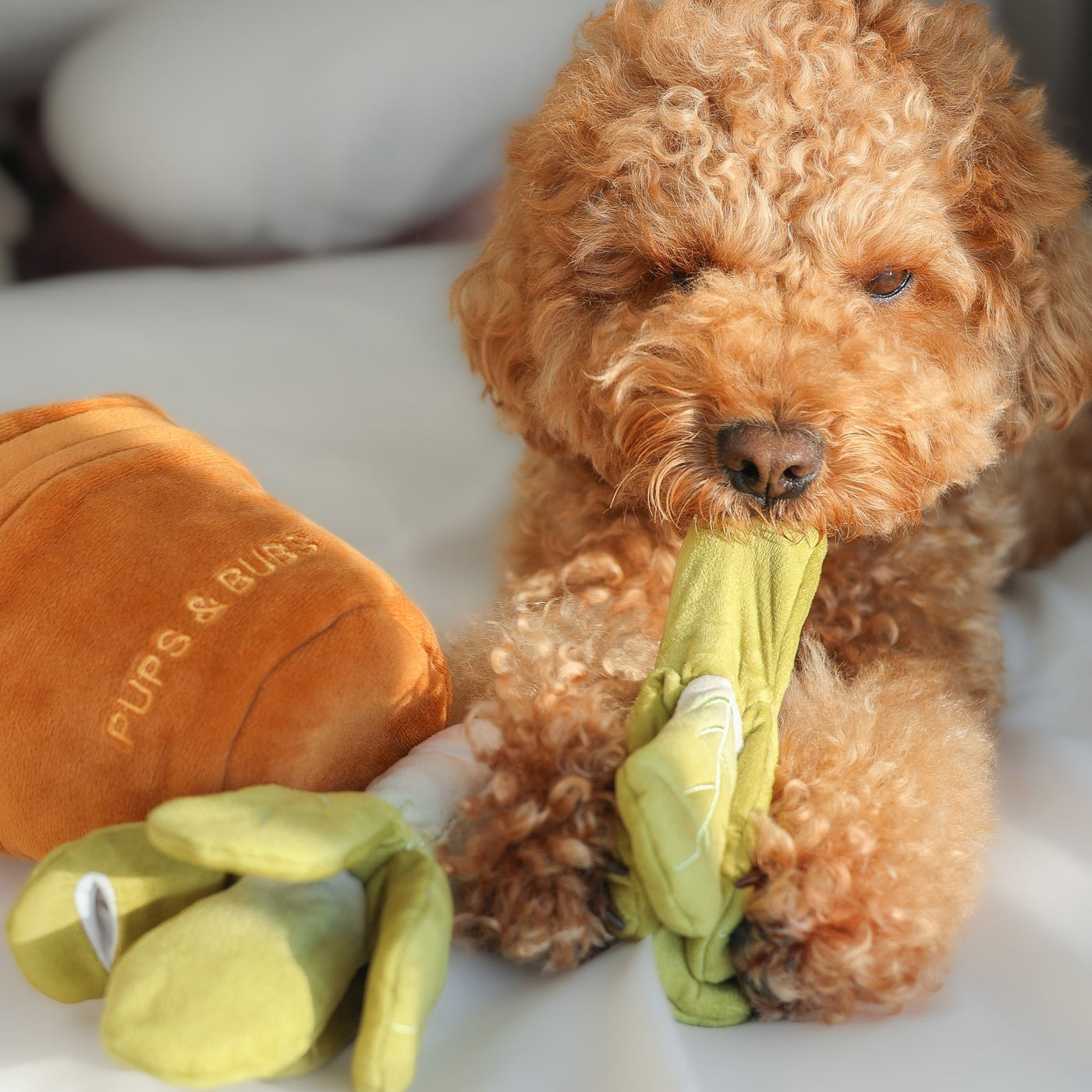 VEGGIE GARDEN // nosework toy