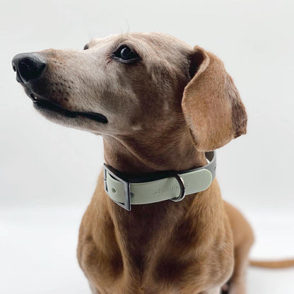 VOLO // adjustable collar