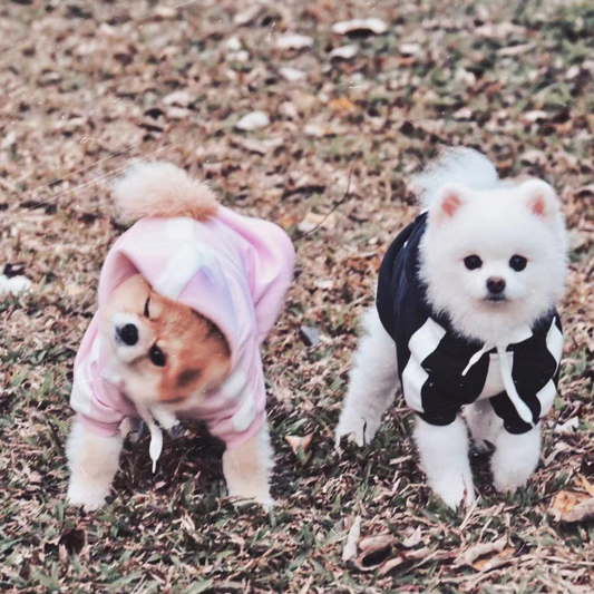Pups Lounge All Day Hoodie