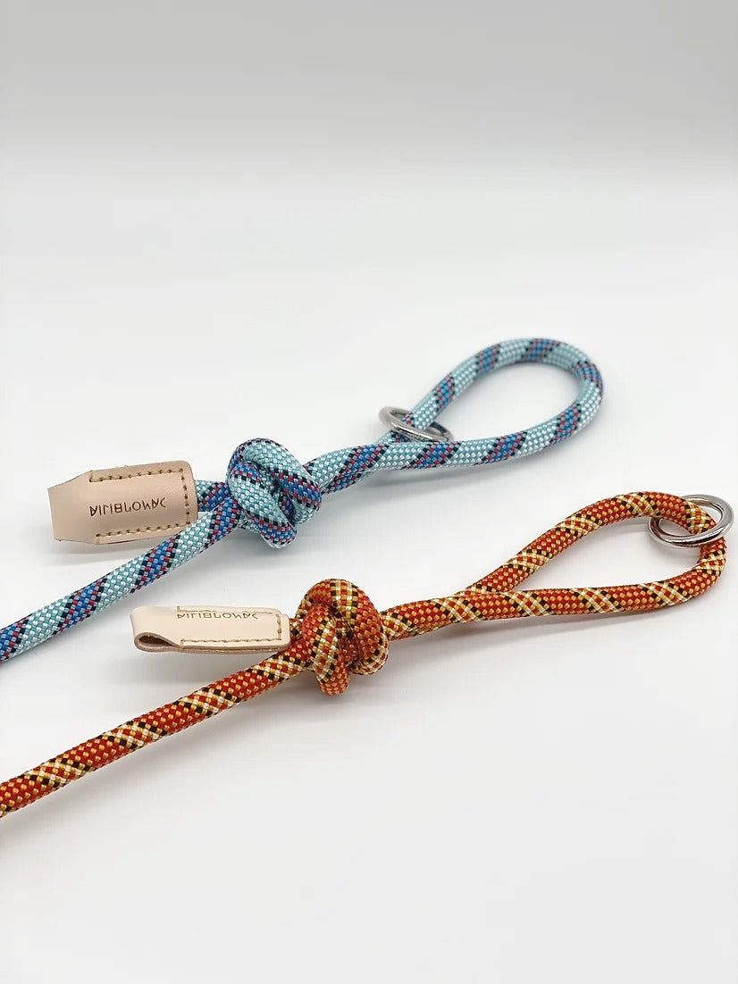 FORTIS // regular leash