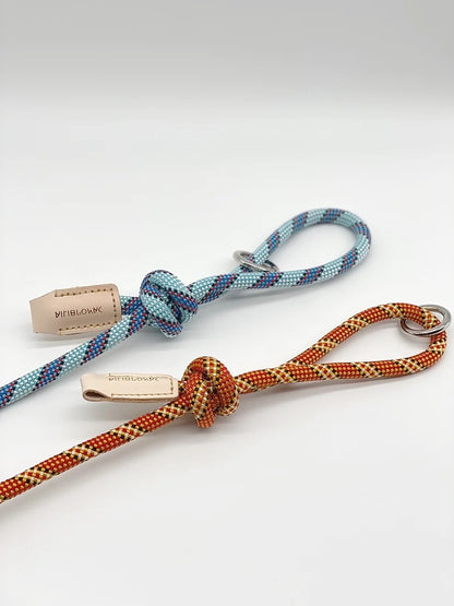 FORTIS // regular leash