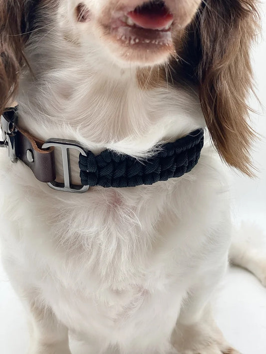LUCEM // adjustable collar