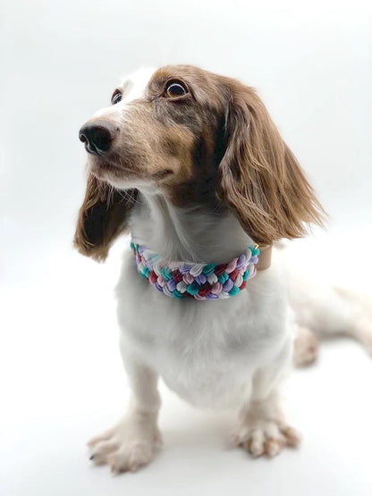 LIGO // adjustable collar