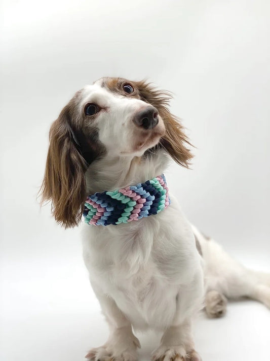 CHEVRON // adjustable martingale collar