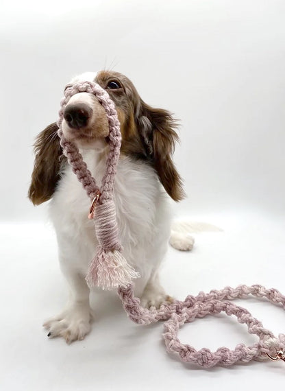 ROTO // macrame regular leash