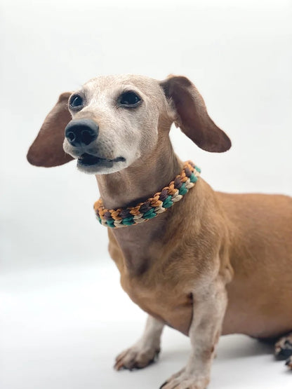 CORDA PLUS // martingale collar