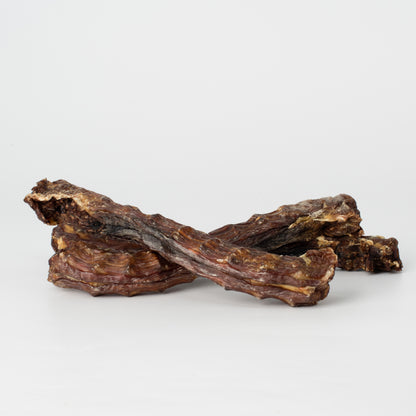 Duck Neck // 硬頸鴨鴨