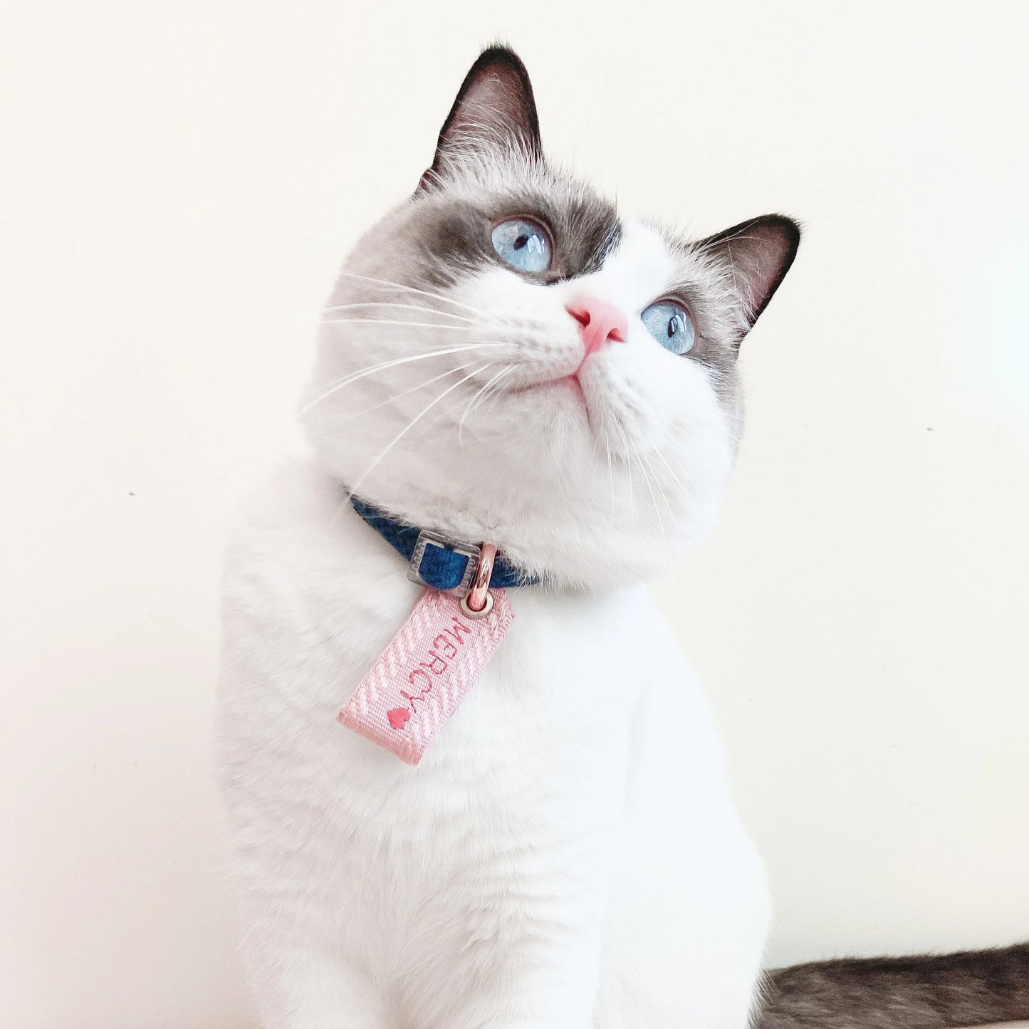 MAMORI // pet tag
