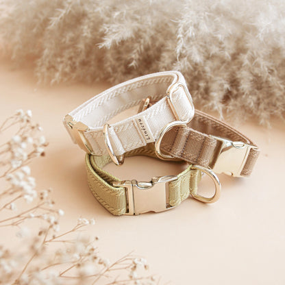 CLAI // classic collar