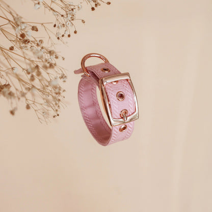 ISSI // classic collar