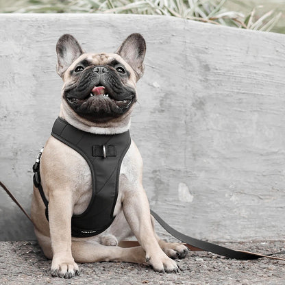 ROAM // luxe harness
