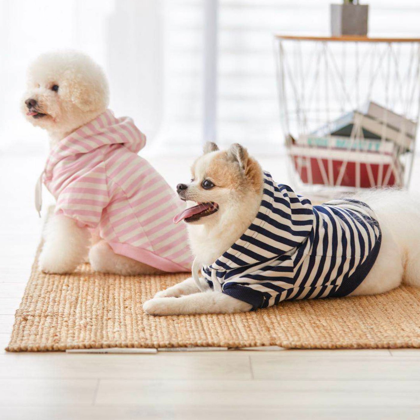 Pups Easy Like Sunday Hoodie